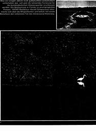 s1976-09-0068