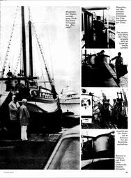 s1976-20-0089