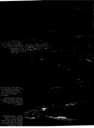 s1977-03-0064