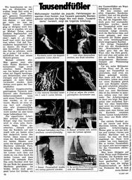 Tausendfüßler-Wantenschoner