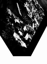 s1977-08-0083