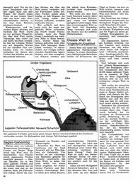 s1977-08-0096