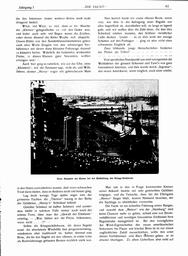 s1978-01-0061