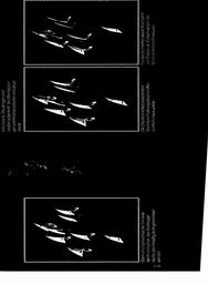 s1978-02-0179