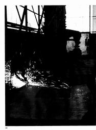 s1978-02-0198
