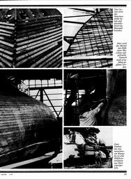 s1978-05-0151