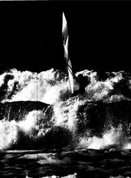 s1978-09-068
