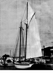 s1978-10-0145
