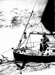Passat-Besegelung für Langtörns