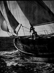 Down Easter 38 - Yachten aus Kalifornien