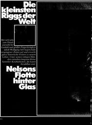 Modellbau: Die kleinsten Riggs der Welt (Wolfgang Sell)