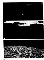 s1979-05-0062