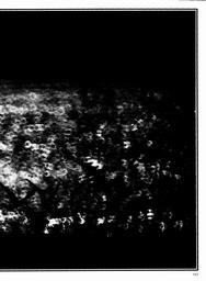 s1979-05-0163