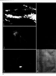 s1979-05-0164
