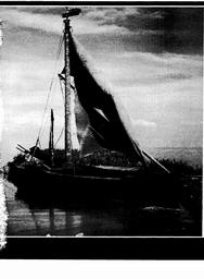 s1979-06-0089