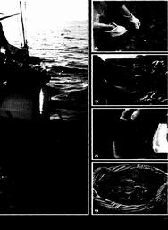 s1979-08-0067