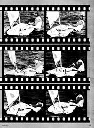 s1979-08-0131