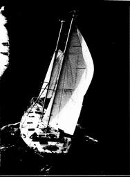s1979-10-0079