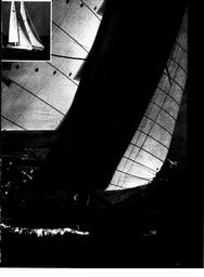 s1979-11-0051