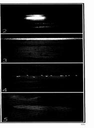 s1979-11-0121