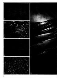 s1979-11-0122