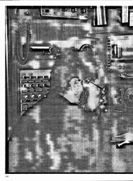 s1979-17-0100