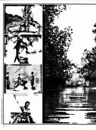 s1979-19-0020