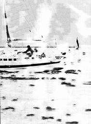 s1979-19-0029
