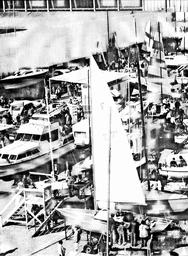 s1979-20-0156