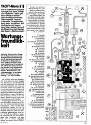 Motorbootfahren (1)