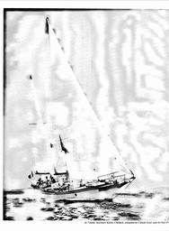 s1979-20-0204