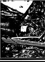 s1979-21-0262