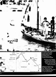 s1980-02-0272