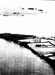 s1980-03-0019