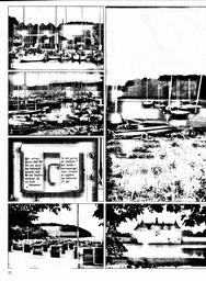 s1980-03-0022