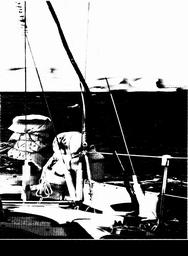 Atlantiküberquerung (Schult) - Auf den Spuren der Wikinger