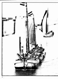 s1980-05-0044