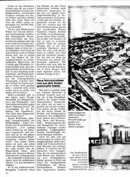 s1980-05-0054