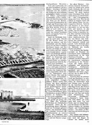 s1980-05-0055
