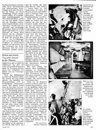 s1980-05-0145