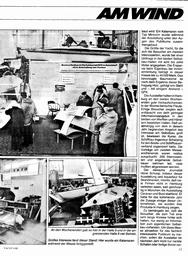 s1980-06-0013