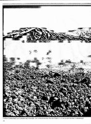 s1980-06-0028