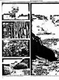 s1980-06-0030