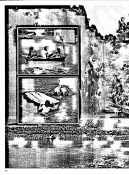 s1980-06-0060