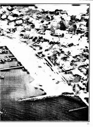 s1980-06-0181