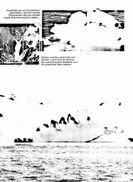 s1980-07-0029