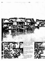s1980-10-0046
