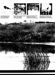 s1980-11-0019