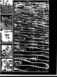 s1980-11-0020