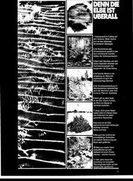 s1980-11-0021